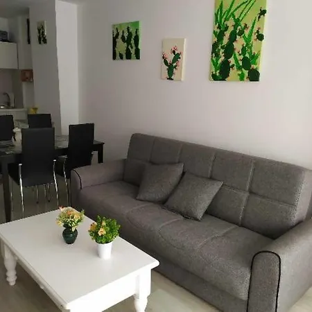 公寓 Tenerife Sur *